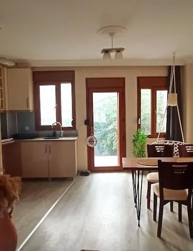 Apartamento Deniz Manzarali Muestakil Ev Aybalik *