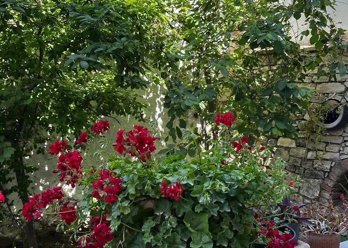 Apartamento Deniz Manzarali Muestakil Ev Aybalik Ayvalı