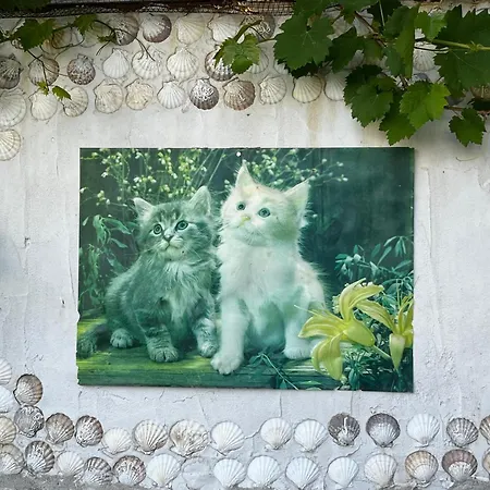 Deniz Manzarali Muestakil Ev Aybalik Διαμέρισμα