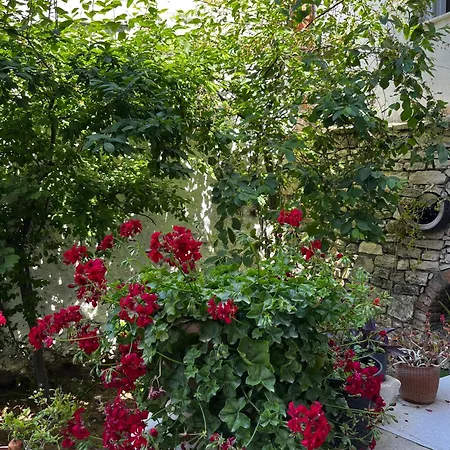 Διαμέρισμα Deniz Manzarali Muestakil Ev Aybalik Ayvalı