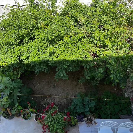 Deniz Manzarali Muestakil Ev Aybalik Διαμέρισμα Ayvalı